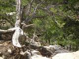 grandcanyon09.jpg