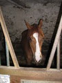 trec_10mai2008_005.jpg