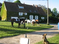 trec_11mai2008_008.jpg