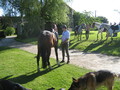 trec_11mai2008_011.jpg