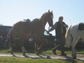 trec_11mai2008_021.jpg