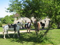 trec_11mai2008_022.jpg