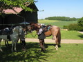 trec_11mai2008_023.jpg