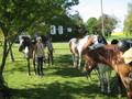 trec_11mai2008_024.jpg