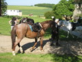 trec_11mai2008_026.jpg