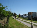 trec_11mai2008_031.jpg