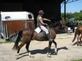 trec_11mai2008_034.jpg