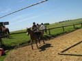 trec_11mai2008_042.jpg