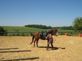 trec_11mai2008_043.jpg