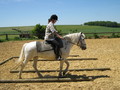 trec_11mai2008_060.jpg
