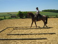 trec_11mai2008_062.jpg