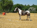 trec_11mai2008_067.jpg