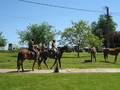 trec_11mai2008_077.jpg