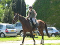 trec_11mai2008_079.jpg