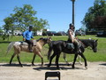 trec_11mai2008_086.jpg