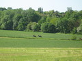 trec_11mai2008_093.jpg