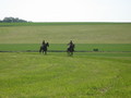 trec_11mai2008_095.jpg