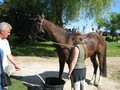 trec_11mai2008_098.jpg