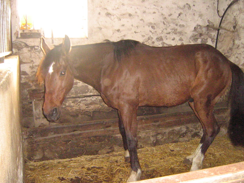 trec_10mai2008_006.jpg