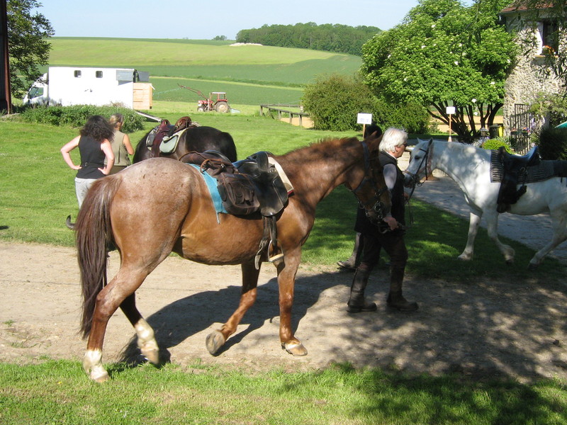 trec_11mai2008_026.jpg
