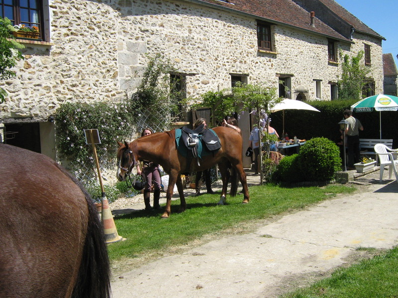 trec_11mai2008_036.jpg