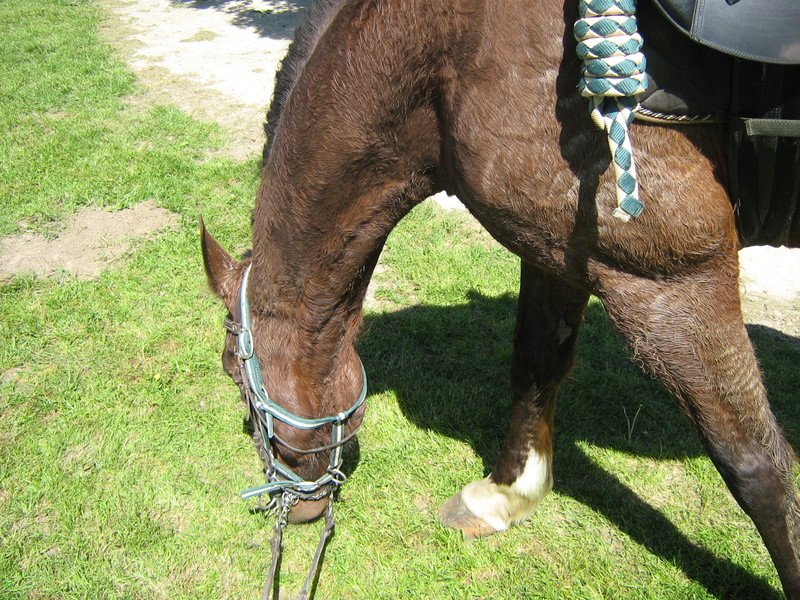 trec_11mai2008_037.jpg