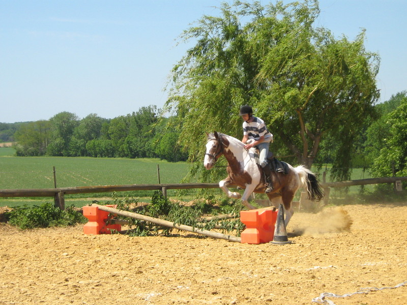 trec_11mai2008_068.jpg