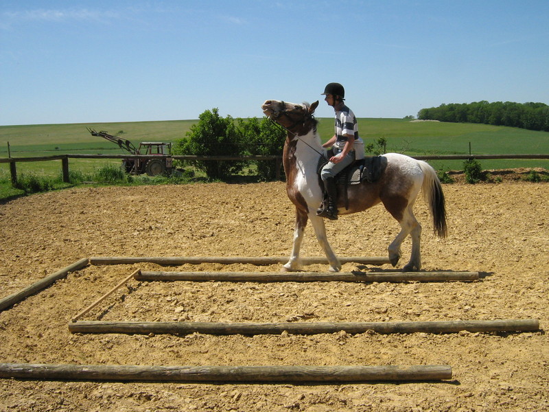 trec_11mai2008_069.jpg